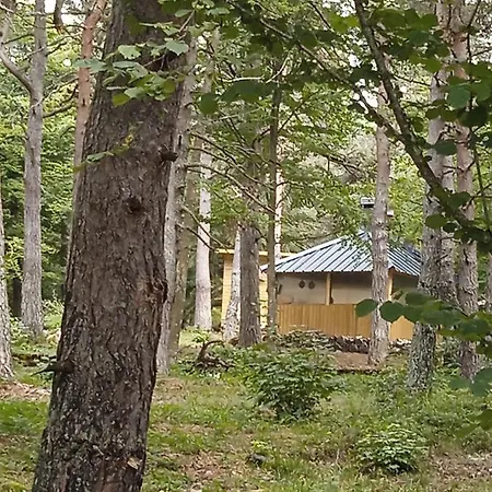 Papillon Domaine De La Mamounette Boussoulet