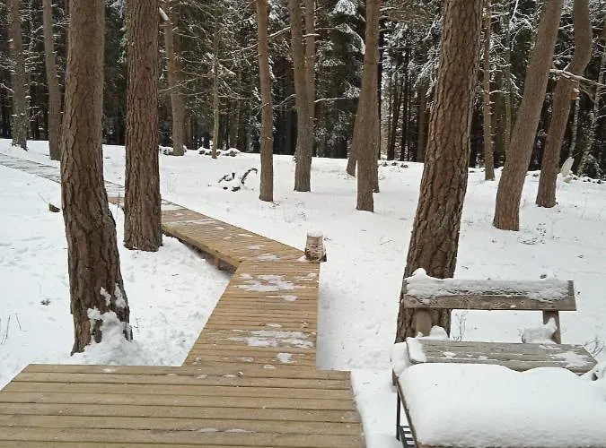 Papillon Domaine De La Mamounette Chalet