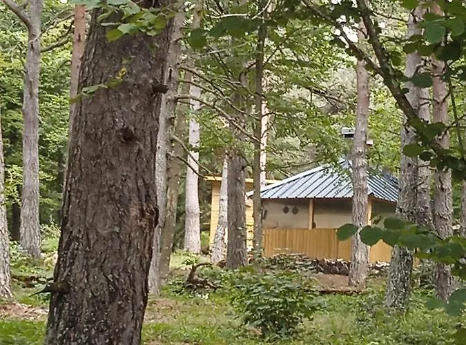 Papillon Domaine De La Mamounette Boussoulet