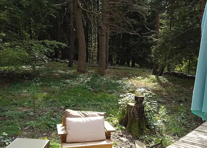 Papillon Domaine De La Mamounette